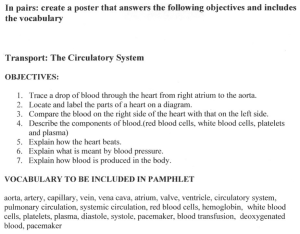 In pairs: create a poster that answers the following objectives... the vocabulary Transport: The Circulatory