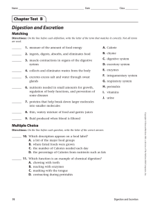 Digestion and Excretion Chapter Test  B Matching 1.