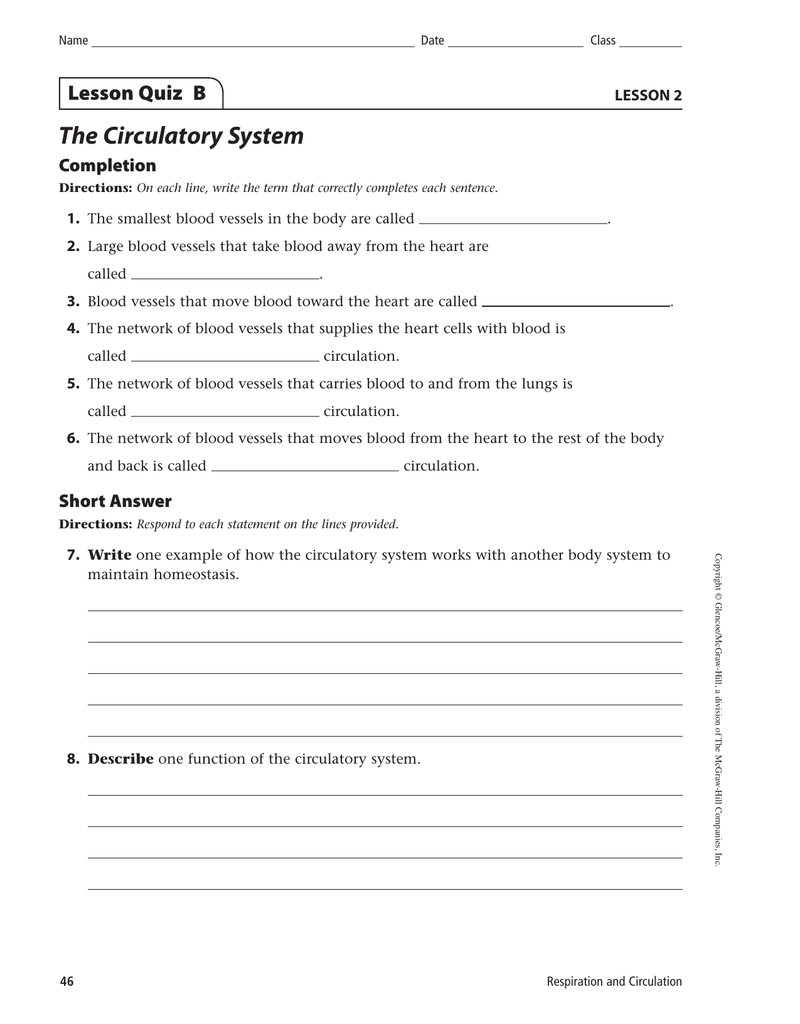The Circulatory System Lesson Quiz B Completion LESSON 24 With The Circulatory System Worksheet Answers