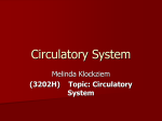 Circulatory System Melinda Klockziem (3202H) Topic: Circulatory System