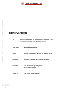 DOCTORAL THESIS