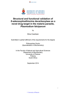 Structural and functional validation of S