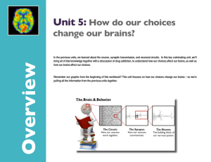 Unit 5: How do our choices change our brains?