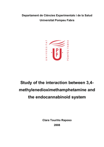 Study of the interaction between 3,4- methylenedioximethamphetamine and the endocannabinoid system