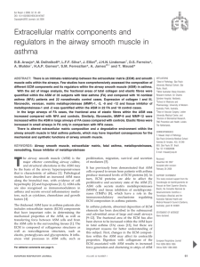 Extracellular matrix components and regulators in the airway smooth muscle in asthma