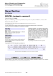 Gene Section CENTG1 (centaurin, gamma1) Atlas of Genetics and Cytogenetics