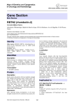 Gene Section RBTN2 (rhombotin-2) Atlas of Genetics and Cytogenetics in Oncology and Haematology