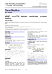 Gene Section NONO  non-POU  domain  containing,  octamer- binding