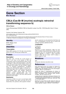 Gene Section CBLb (Cas-Br-M (murine) ecotropic retroviral transforming sequence b)