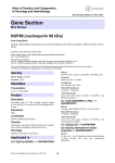 Gene Section NUP98 (nucleoporin 98 kDa) Atlas of Genetics and Cytogenetics