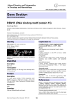 Gene Section RBM15 (RNA binding motif protein 15) in Oncology and Haematology