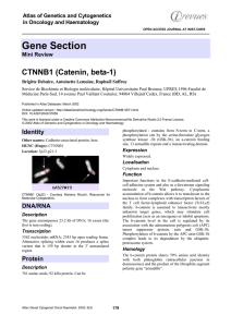 Gene Section CTNNB1 (Catenin, beta-1) Atlas of Genetics and Cytogenetics