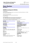 Gene Section NUP98 (nucleoporin 98 kDa) Atlas of Genetics and Cytogenetics