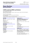 Gene Section CARS (cysteinyj-tRNA synthetase) Atlas of Genetics and Cytogenetics