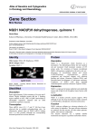 Gene Section NQO1 NAD(P)H dehydrogenase, quinone 1 Atlas of Genetics and Cytogenetics