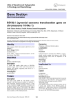 Gene Section chromosome 18-like 1) Atlas of Genetics and Cytogenetics