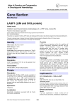 Gene Section LASP1 (LIM and SH3 protein) Atlas of Genetics and Cytogenetics