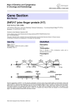 Gene Section ZNF217 (zinc finger protein 217) Atlas of Genetics and Cytogenetics