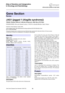Gene Section JAG1 (jagged 1 (Alagille syndrome)) Atlas of Genetics and Cytogenetics