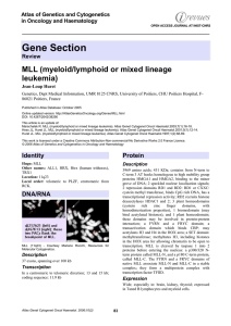 Gene Section MLL (myeloid/lymphoid or mixed lineage leukemia) Atlas of Genetics and Cytogenetics