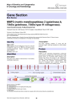 Gene Section MMP2 (matrix metallopeptidase 2 (gelatinase A,