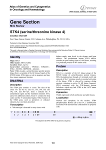 Gene Section STK4 (serine/threonine kinase 4) Atlas of Genetics and Cytogenetics