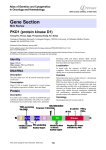 Gene Section PKD1 (protein kinase D1) Atlas of Genetics and Cytogenetics