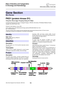 Gene Section PKD1 (protein kinase D1) Atlas of Genetics and Cytogenetics