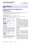 Gene Section PAX3 (paired box gene 3 (Waardenburg syndrome 1))