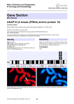 Gene Section AKAP12 (A kinase (PRKA) anchor protein 12)