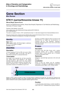 Gene Section STK11 (serine/threonine kinase 11) Atlas of Genetics and Cytogenetics