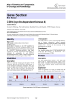 Gene Section CDK4 (cyclin-dependent kinase 4) Atlas of Genetics and Cytogenetics