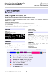 Gene Section EPHA7 (EPH receptor A7) Atlas of Genetics and Cytogenetics