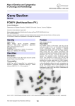 Gene Section FOXP1 (forkhead box P1) Atlas of Genetics and Cytogenetics