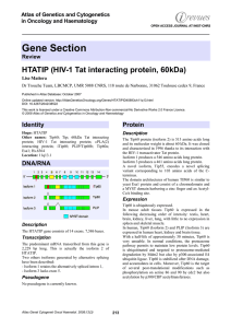 Gene Section HTATIP (HIV-1 Tat interacting protein, 60kDa) in Oncology and Haematology