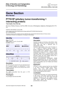 Gene Section PTTG1IP (pituitary tumor-transforming 1 interacting protein) Atlas of Genetics and Cytogenetics