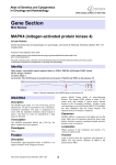 Gene Section MAPK4 (mitogen-activated protein kinase 4) Atlas of Genetics and Cytogenetics
