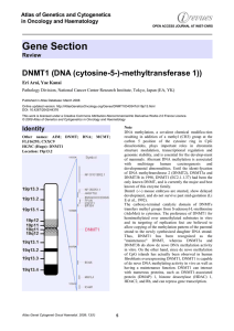 Gene Section DNMT1 (DNA (cytosine-5-)-methyltransferase 1)) Atlas of Genetics and Cytogenetics