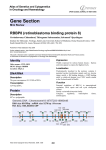 Gene Section RBBP8 (retinoblastoma binding protein 8) Atlas of Genetics and Cytogenetics