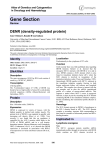 Gene Section DENR (density-regulated protein) Atlas of Genetics and Cytogenetics
