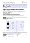 Gene Section GPA33 (glycoprotein A33 (transmembrane)) Atlas of Genetics and Cytogenetics