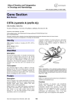 Gene Section CSTA (cystatin A (stefin A)) Atlas of Genetics and Cytogenetics