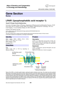 Gene Section LPAR1 (lysophosphatidic acid receptor 1)  Atlas of Genetics and Cytogenetics