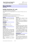 Gene Section RUVBL2 (RuvB-like 2 (E. coli)) Atlas of Genetics and Cytogenetics