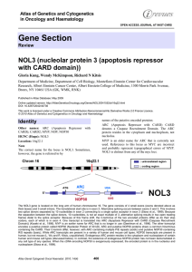 Gene Section NOL3 (nucleolar protein 3 (apoptosis repressor with CARD domain))