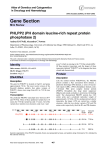Gene Section PHLPP2 (PH domain leucine-rich repeat protein phosphatase 2)