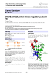 Gene Section CKS1B (CDC28 protein kinase regulatory subunit 1B)