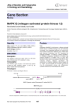 Gene Section MAPK12 (mitogen activated protein kinase 12) -