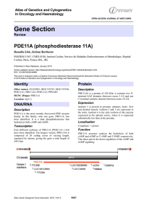 Gene Section PDE11A (phosphodiesterase 11A)  Atlas of Genetics and Cytogenetics
