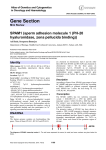 Gene Section SPAM1 (sperm adhesion molecule 1 (PH 20 hyaluronidase, zona pellucida binding))